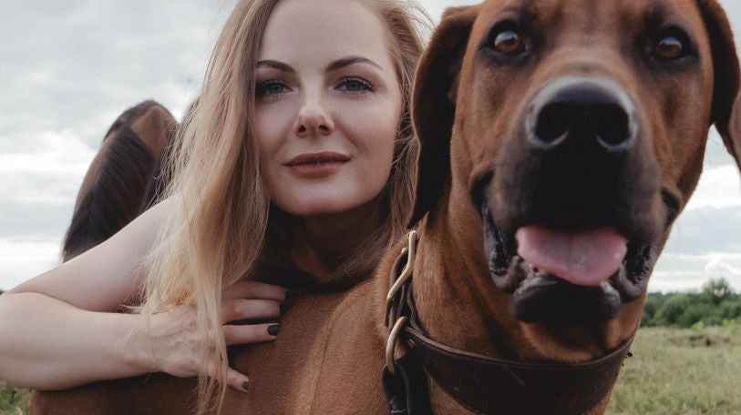 Gifts for Dog Lovers: Personalized Ideas - Love Life Journey