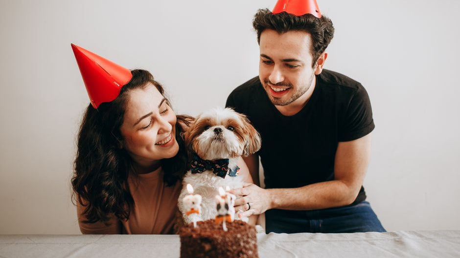 Made to Order Gifts for Pet Owners - Love Life Journey
