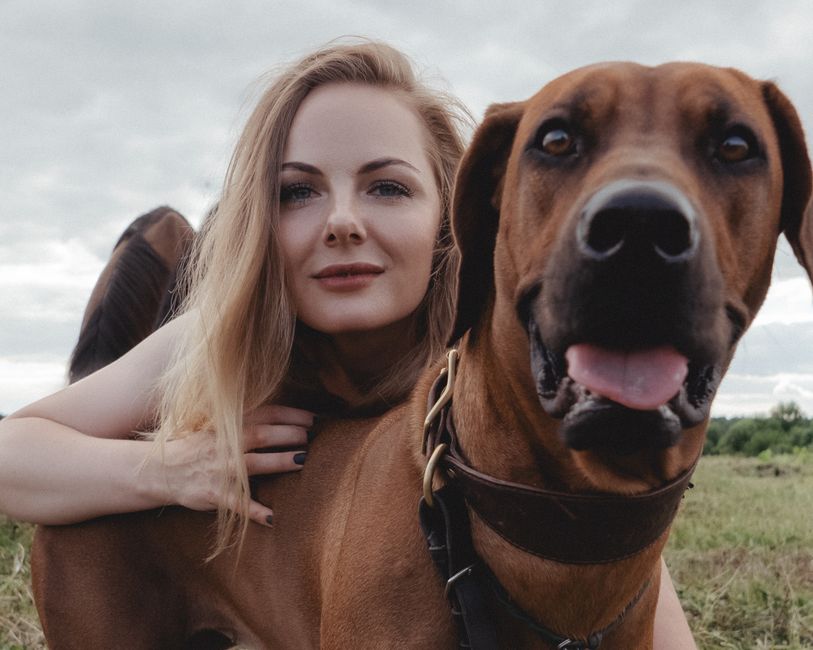 Gifts for Dog Lovers: Personalized Ideas - Love Life Journey