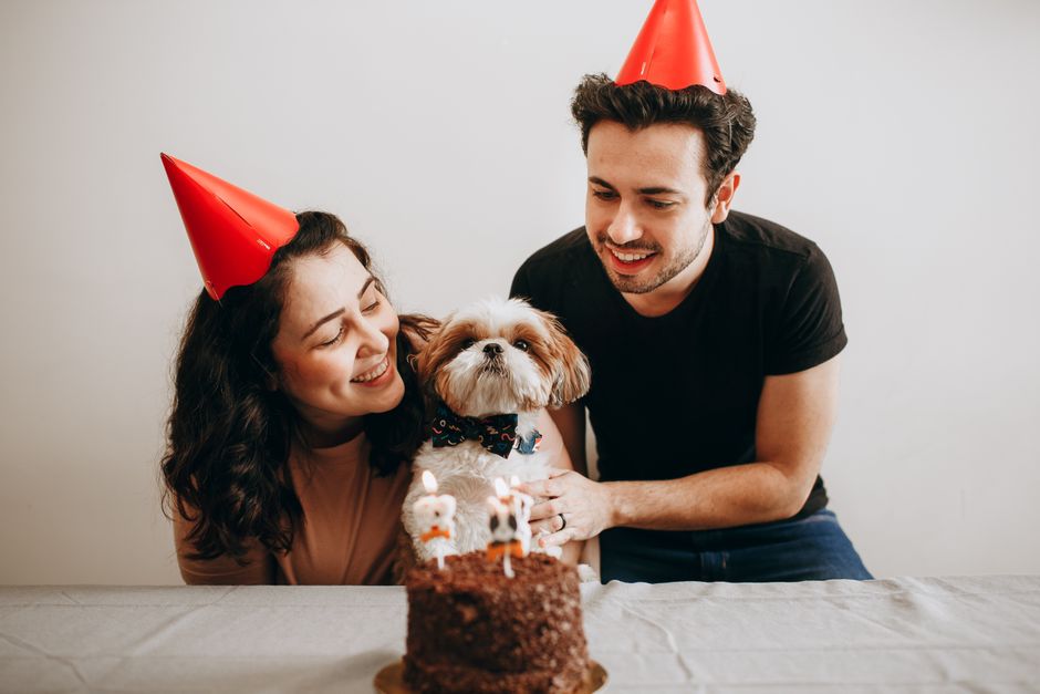 Made to Order Gifts for Pet Owners - Love Life Journey