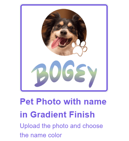 KIDS T - SHIRT✨ Custom Kids Pet Photo T-Shirt – Add Name & Photo | Gildan 5000B | Ages XS–XL | Ships Fast from USA - Love Life Journey